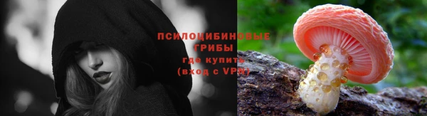 спиды Белокуриха
