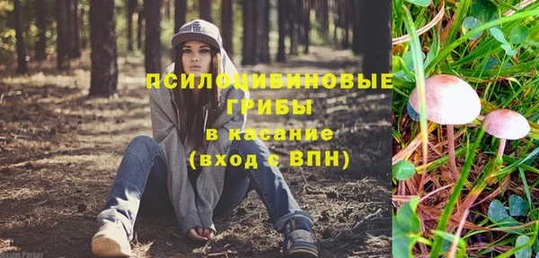 спиды Белокуриха